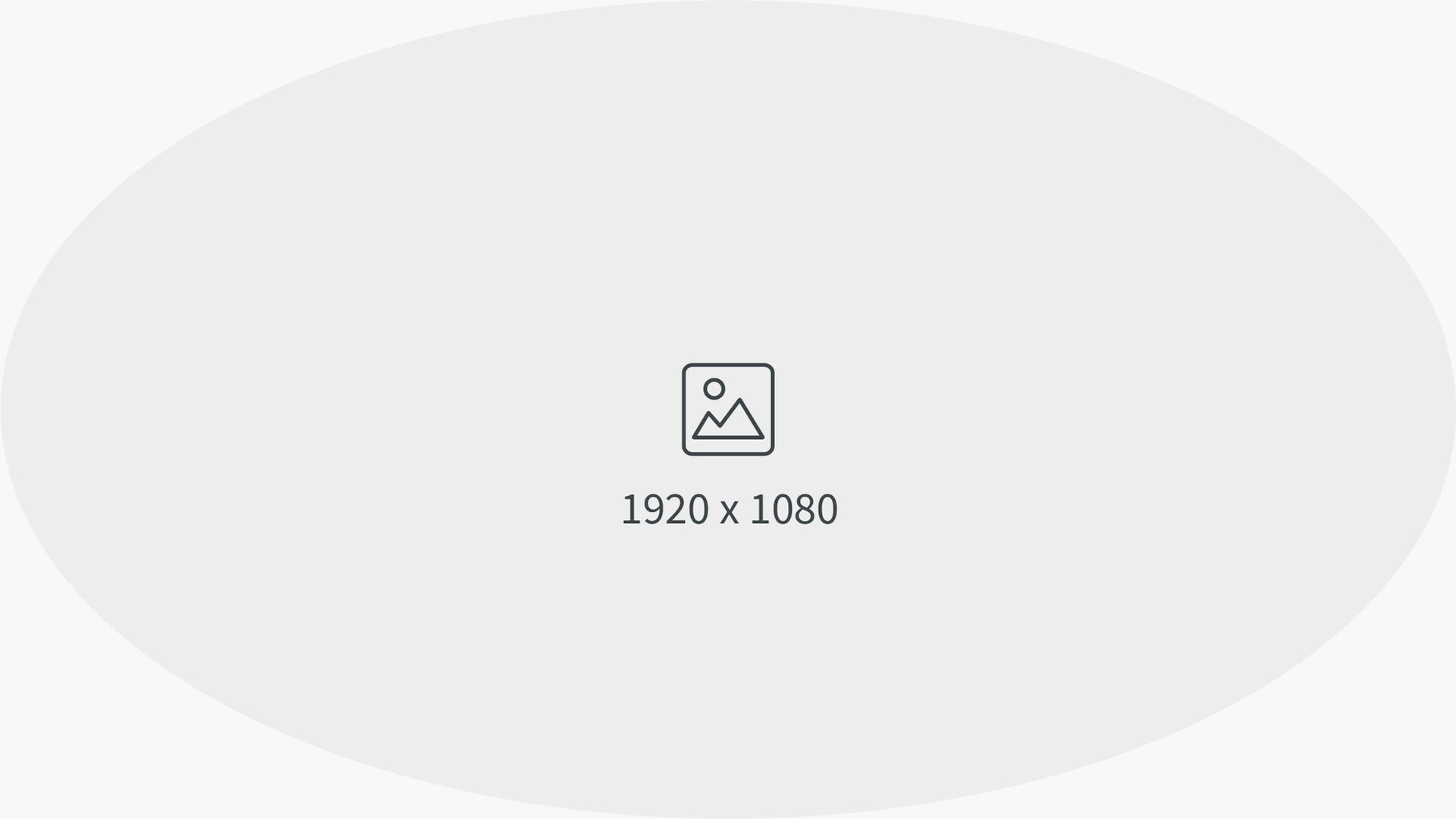 Details BOS112 Risc-Management GmbH